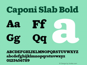 Caponi Slab Bold Version 1.1 2013图片样张