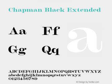Chapman Black Extended Version 1.000图片样张