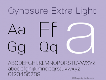 Cynosure Extra Light Version 5.000;FEAKit 1.0图片样张