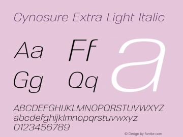 Cynosure Extra Light Italic Version 5.000;FEAKit 1.0图片样张