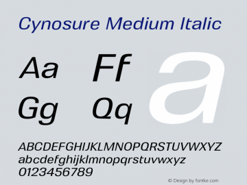 Cynosure Medium Italic Version 5.000;FEAKit 1.0图片样张