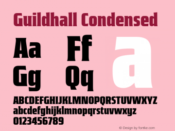 Guildhall Condensed Version 3.000;FEAKit 1.0图片样张