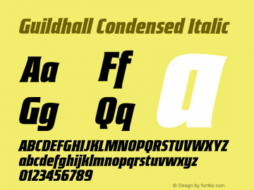 Guildhall Condensed Italic Version 3.000;FEAKit 1.0图片样张