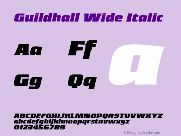 Guildhall Wide Italic Version 3.000;FEAKit 1.0图片样张