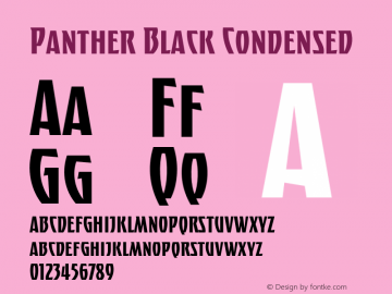 Panther Black Condensed Version 2.000;FEAKit 1.0图片样张