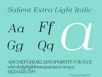 Salient Extra Light Italic Version 8.000;FEAKit 1.0图片样张