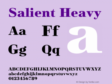 Salient Heavy Version 6.000;FEAKit 1.0图片样张