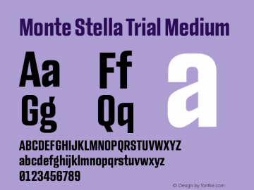 Monte Stella Trial Medium Version 1.121图片样张