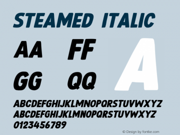 Steamed Italic Version 1.000;FEAKit 1.0图片样张