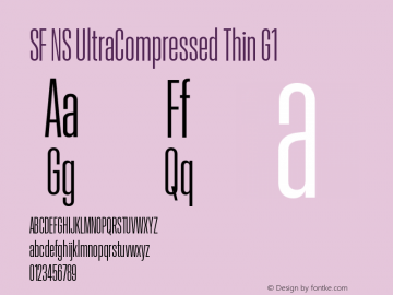 SF NS UltraCompressed Thin G1 Version 17.0d11e1; 2021-08-02 | vf-rip图片样张