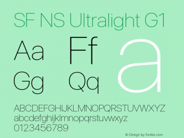 SF NS Ultralight G1 Version 17.0d11e1; 2021-08-02 | vf-rip图片样张