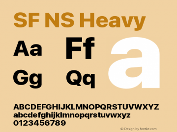 SF NS Heavy Version 17.0d11e1; 2021-08-02 | vf-rip图片样张