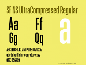 SF NS UltraCompressed Regular Version 17.0d11e1; 2021-08-02 | vf-rip图片样张