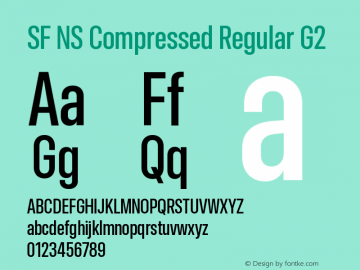 SF NS Compressed Regular G2 Version 17.0d11e1; 2021-08-02 | vf-rip图片样张