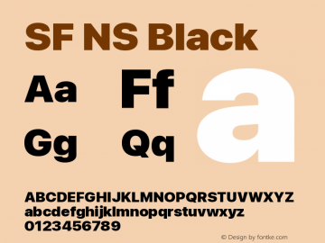 SF NS Black Version 17.0d11e1; 2021-08-02 | vf-rip图片样张