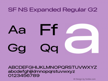 SF NS Expanded Regular G2 Version 17.0d11e1; 2021-08-02 | vf-rip图片样张