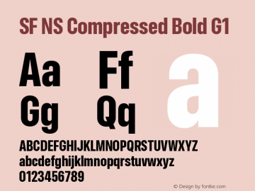 SF NS Compressed Bold G1 Version 17.0d11e1; 2021-08-02 | vf-rip图片样张