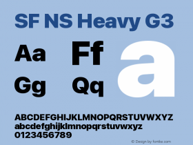 SF NS Heavy G3 Version 17.0d11e1; 2021-08-02 | vf-rip图片样张