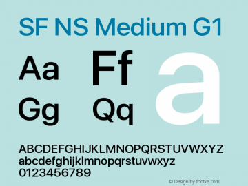SF NS Medium G1 Version 17.0d11e1; 2021-08-02 | vf-rip图片样张