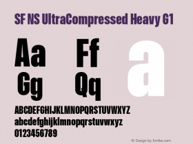 SF NS UltraCompressed Heavy G1 Version 17.0d11e1; 2021-08-02 | vf-rip图片样张