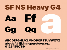 SF NS Heavy G4 Version 17.0d11e1; 2021-08-02 | vf-rip图片样张