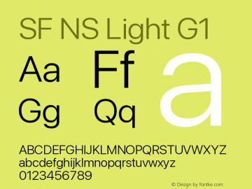 SF NS Light G1 Version 17.0d11e1; 2021-08-02 | vf-rip图片样张