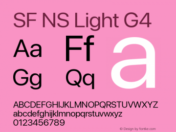 SF NS Light G4 Version 17.0d11e1; 2021-08-02 | vf-rip图片样张