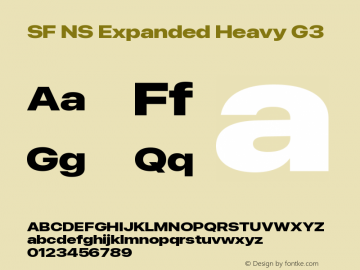 SF NS Expanded Heavy G3 Version 17.0d11e1; 2021-08-02 | vf-rip图片样张