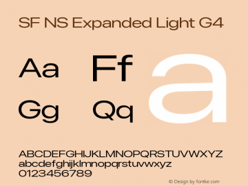 SF NS Expanded Light G4 Version 17.0d11e1; 2021-08-02 | vf-rip图片样张