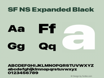 SF NS Expanded Black Version 17.0d11e1; 2021-08-02 | vf-rip图片样张