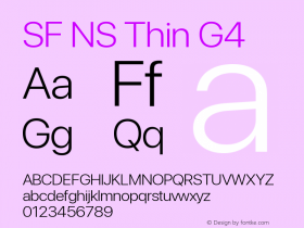 SF NS Thin G4 Version 17.0d11e1; 2021-08-02 | vf-rip图片样张