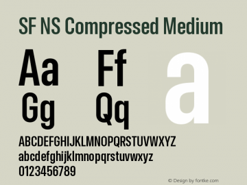 SF NS Compressed Medium Version 17.0d11e1; 2021-08-02 | vf-rip图片样张