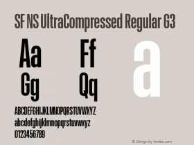 SF NS UltraCompressed Regular G3 Version 17.0d11e1; 2021-08-02 | vf-rip图片样张