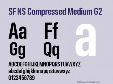 SF NS Compressed Medium G2 Version 17.0d11e1; 2021-08-02 | vf-rip图片样张