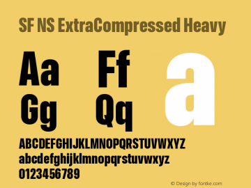 SF NS ExtraCompressed Heavy Version 17.0d11e1; 2021-08-02 | vf-rip图片样张