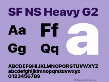 SF NS Heavy G2 Version 17.0d11e1; 2021-08-02 | vf-rip图片样张