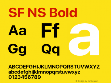 SF NS Bold Version 17.0d11e1; 2021-08-02 | vf-rip图片样张