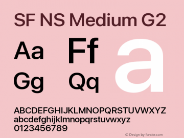 SF NS Medium G2 Version 17.0d11e1; 2021-08-02 | vf-rip图片样张