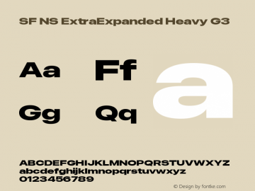 SF NS ExtraExpanded Heavy G3 Version 17.0d11e1; 2021-08-02 | vf-rip图片样张