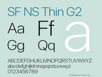 SF NS Thin G2 Version 17.0d11e1; 2021-08-02 | vf-rip图片样张
