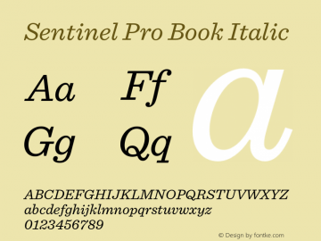 Sentinel Pro Book Italic Version 2.200 Pro图片样张