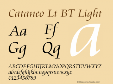 Cataneo Lt BT Light Version 1.01 emb4-OT图片样张