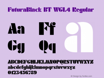 FuturaBlack BT WGL4 Version 2.01 Bitstream WGL4 Set图片样张