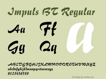 Impuls BT Version 1.01 emb4-OT图片样张