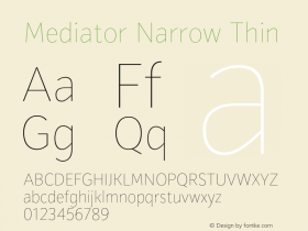 Mediator Narrow Thin Version 1.0图片样张