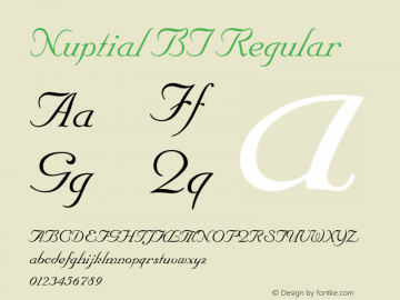 Nuptial BT Version 1.01 emb4-OT图片样张