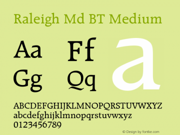 Raleigh Md BT Medium Version 1.01 emb4-OT图片样张