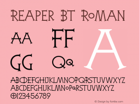 Reaper BT Roman Version 1.01 emb4-OT图片样张