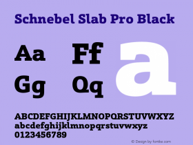 Schnebel Slab Pro Black Version 1.000;hotconv 1.0.105;makeotfexe 2.5.65592图片样张