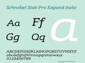 Schnebel Slab Pro Expand Italic Version 1.000;hotconv 1.0.105;makeotfexe 2.5.65592图片样张